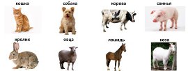 Занятие для детей от 1 года до 1,5 лет. Конспект №2.
